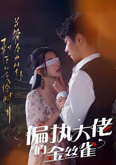 偏执大佬的金丝雀}