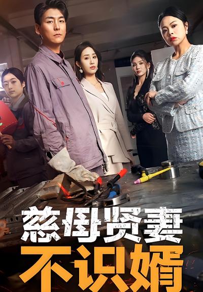 慈母贤妻不识婿}