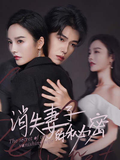 消失妻子的秘密}