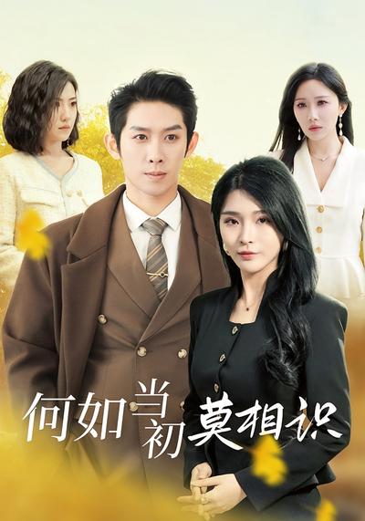 何如当初莫相识}