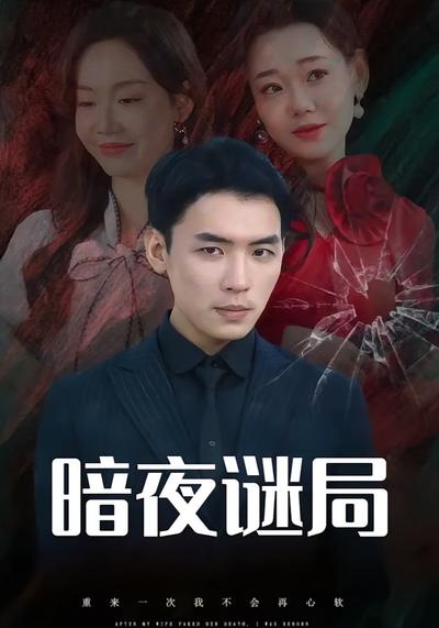 暗夜谜局}