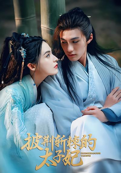 披荆斩棘的太子妃}