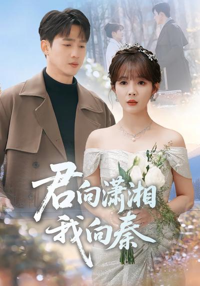 君向潇湘，我向秦}