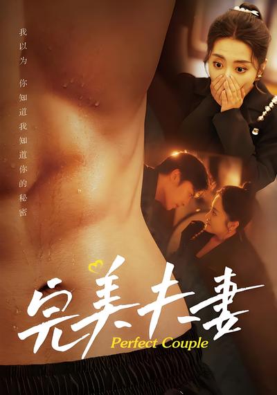 完美夫妻}