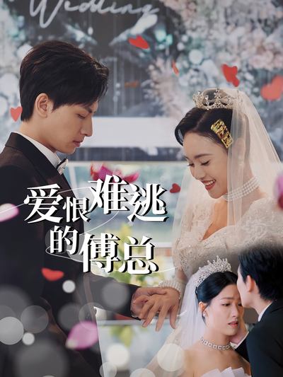 爱恨难逃的傅总}