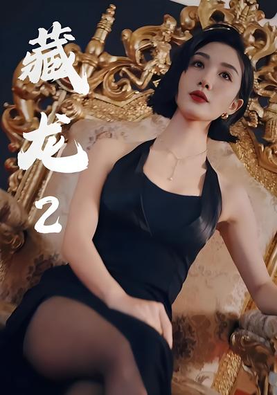 藏龙2}
