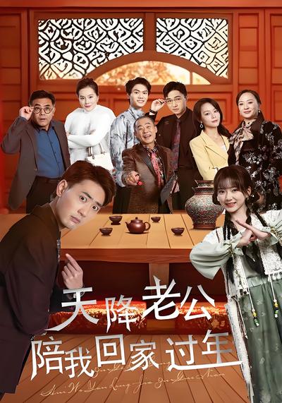 天降老公陪我回家过年}