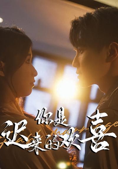 你是迟来的欢喜}