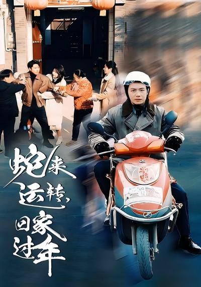 蛇来运转，回家过年}