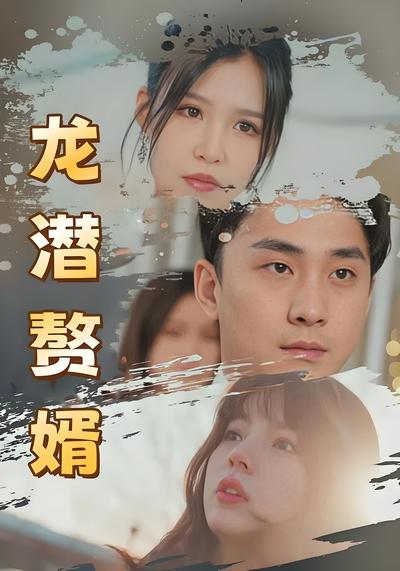 龙潜赘婿}