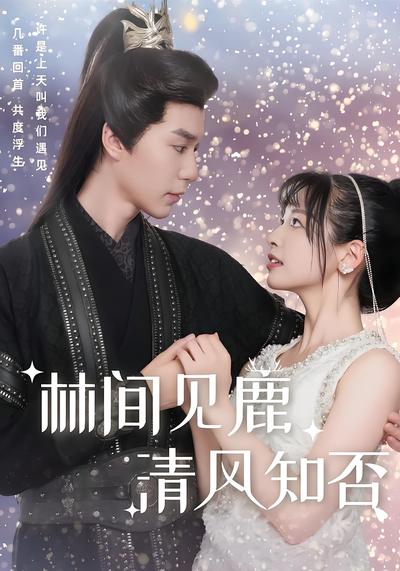 林间见鹿 清风知否}