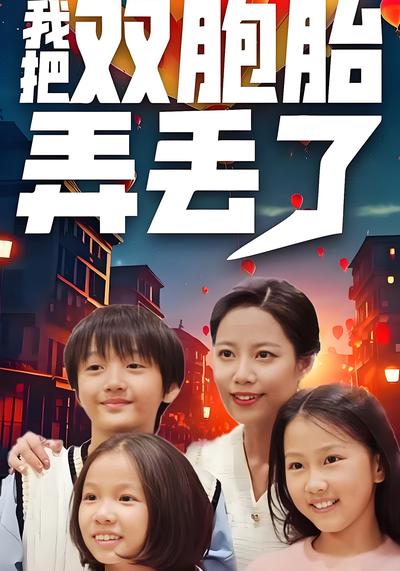 我把双胞胎弄丢了}