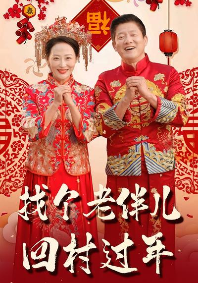 找个老伴儿回村过年}