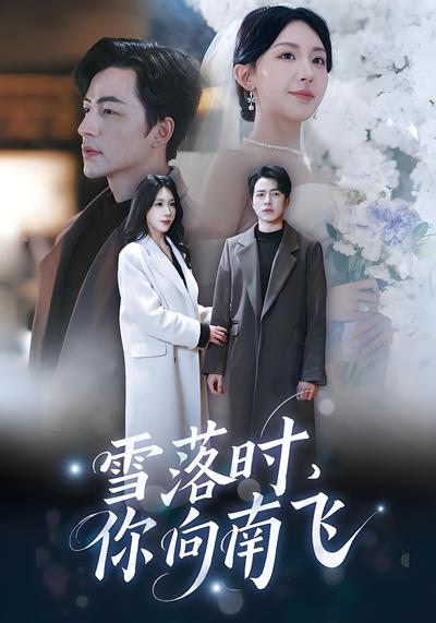 雪落时，你向南飞}