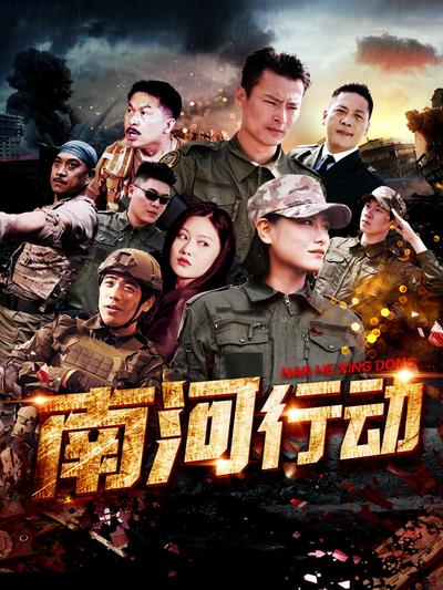 南河行动}