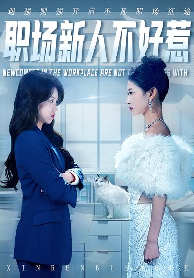 职场新人不好惹}