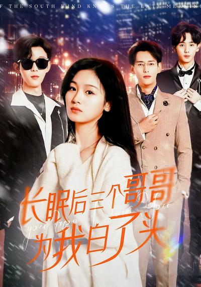 长眠后三个哥哥为我白了头}