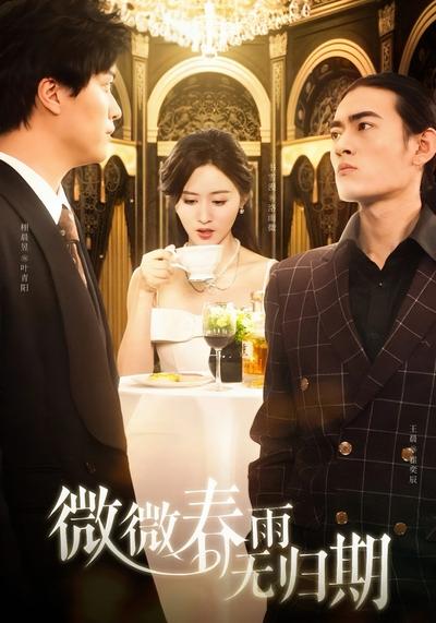 微微春雨无归期}