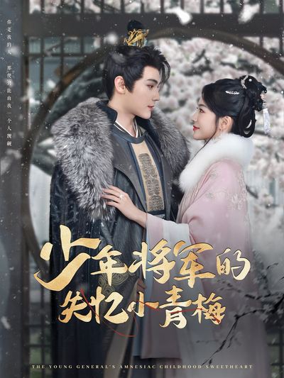少年将军的失忆小青梅}