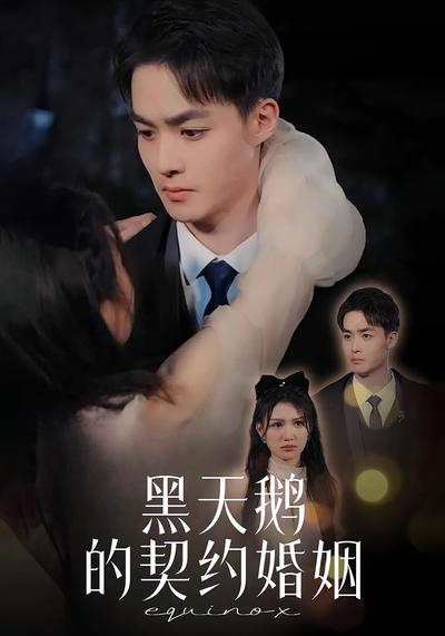 黑天鹅的契约婚姻}