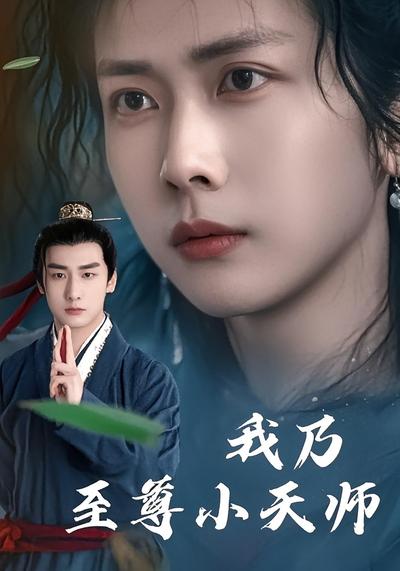我乃至尊小天师}
