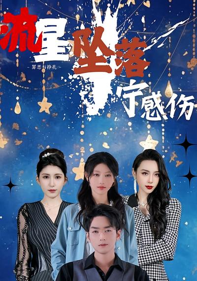 流星坠落宁感伤}