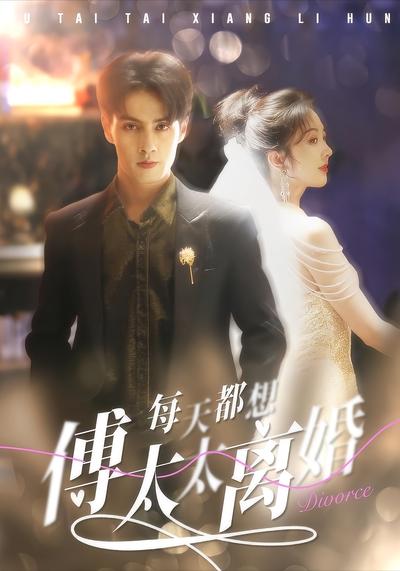 傅太太每天都想离婚}