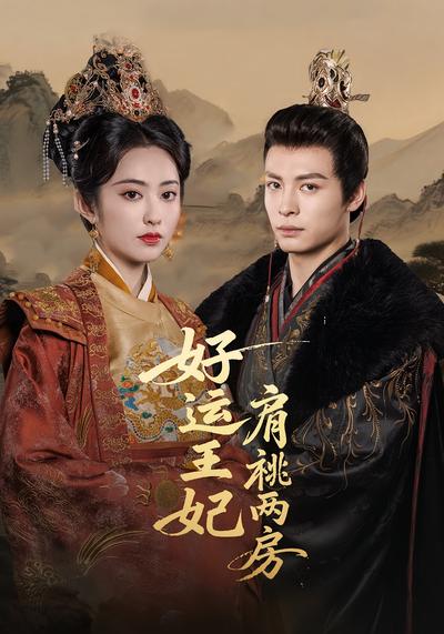好运王妃肩祧两房}