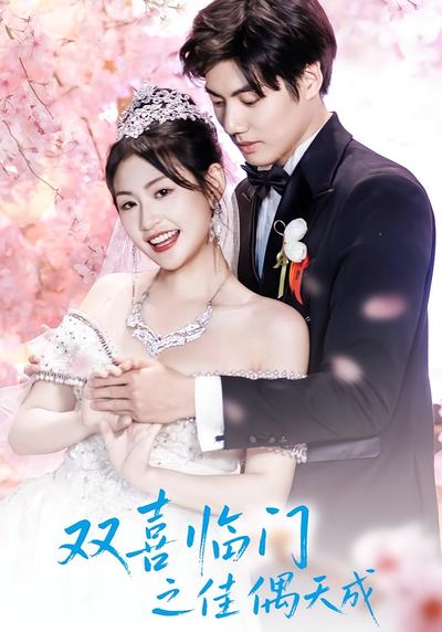 双喜临门之佳偶天成}