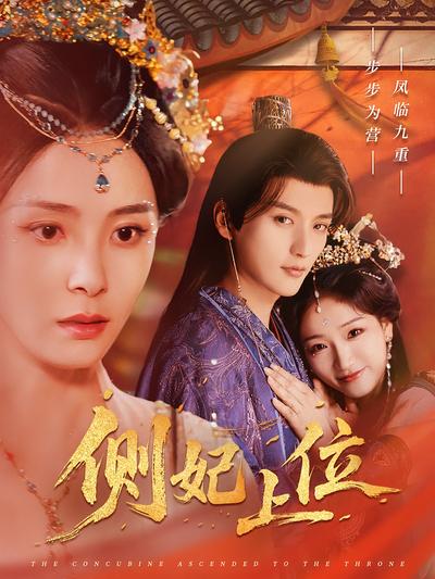 侧妃上位}