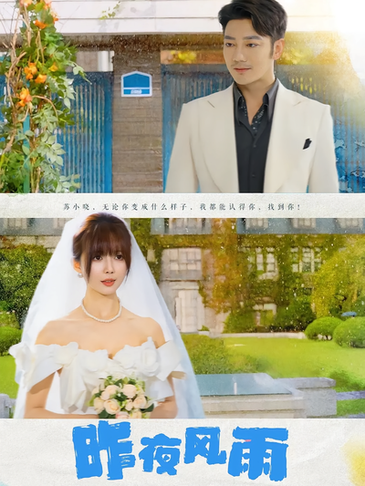 昨夜风雨}