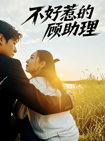 不好惹的顾助理}