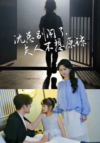 沈总别闹了，夫人不想原谅}