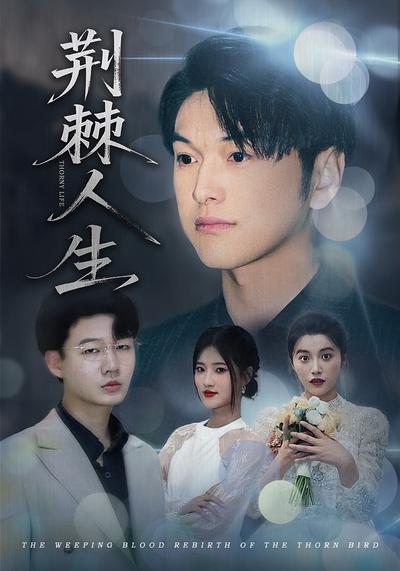 荆棘人生}