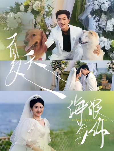 夏天，海浪与你}