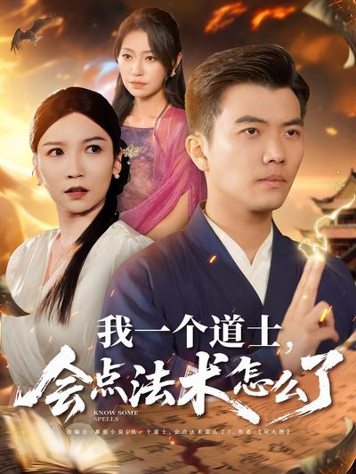我一个道士，会点法术怎么了}