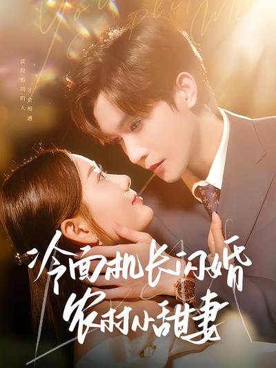 冷面机长闪婚农村小甜妻}