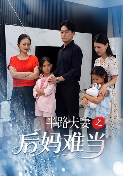 半路夫妻之后妈难当}