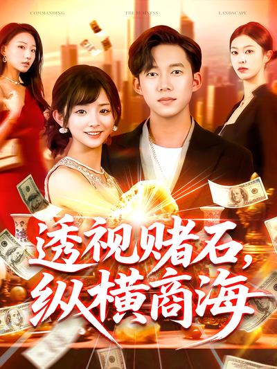 透视赌石，纵横商海}