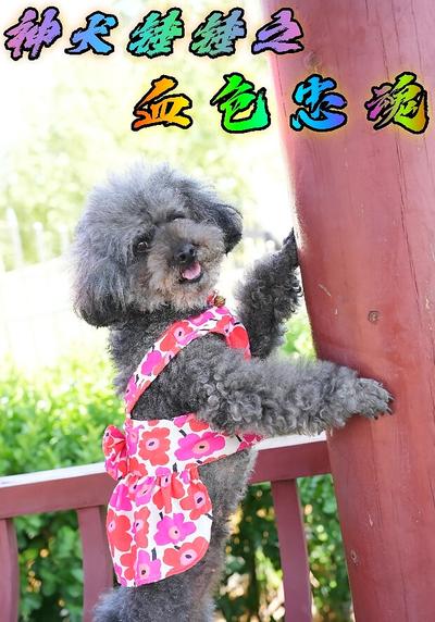 神犬锤锤之血色忠魂}