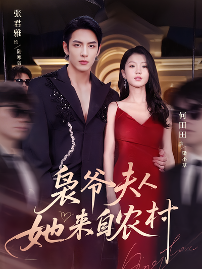 枭爷夫人她来自农村}