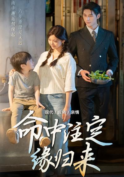 命中注定缘归来}