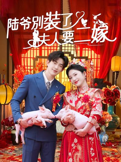 陆爷别装了，夫人要二嫁}