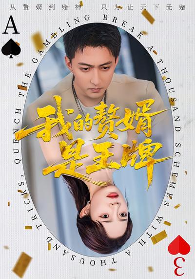 我的赘婿是王牌}