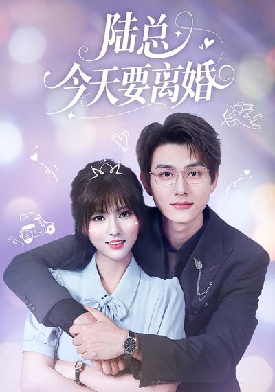 陆总今天要离婚}