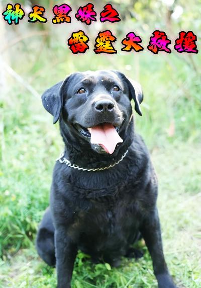 神犬黑妹之雷霆大救援}