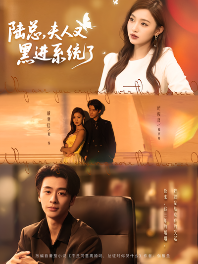 陆总，夫人又黑进系统了}