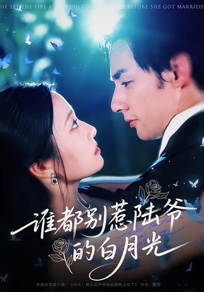 谁都别惹陆爷的白月光}