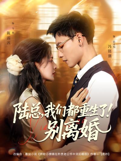 陆总，我们都重生了！别离婚}