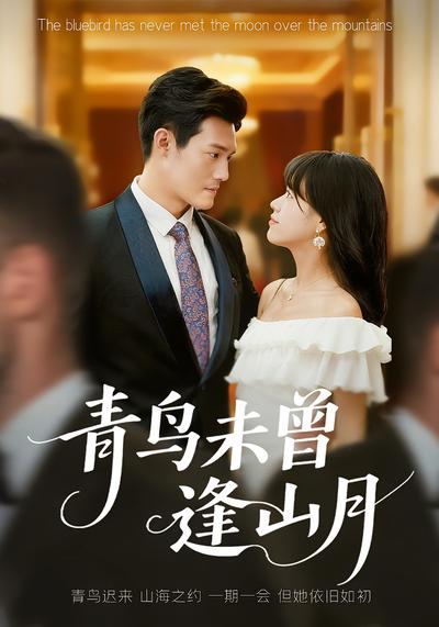 青鸟未曾逢山月}
